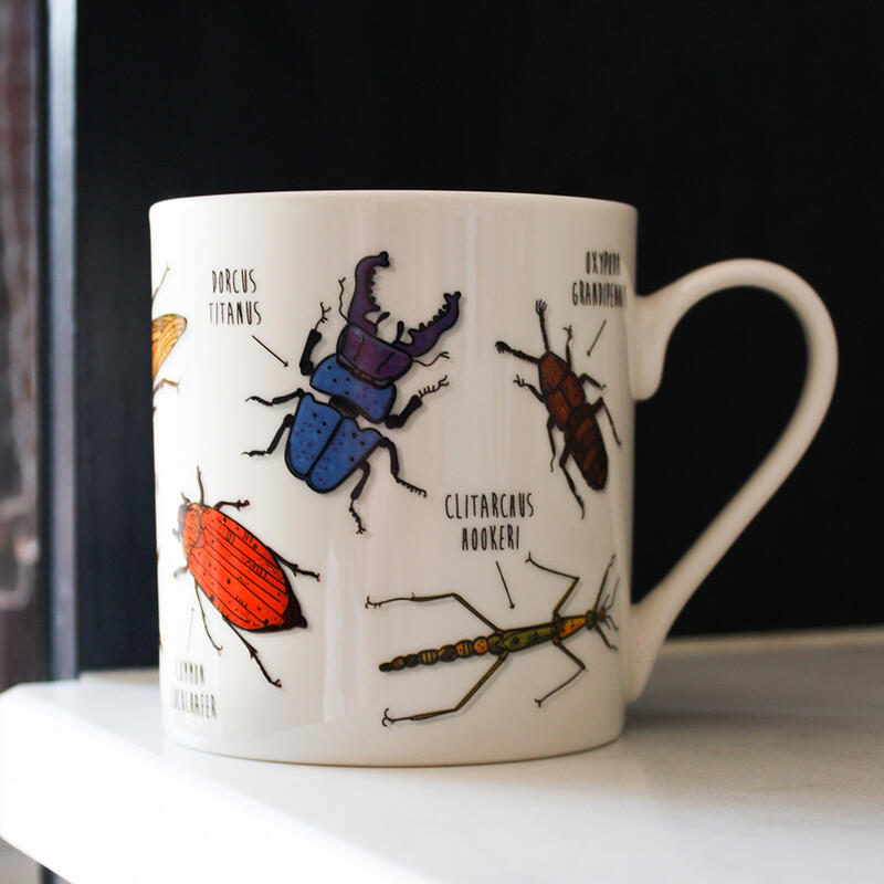 Rude bugs mug in the kitchen on the counter